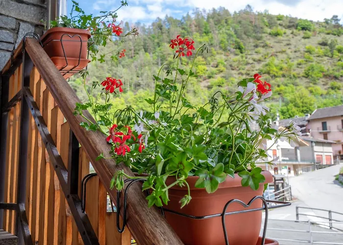 Le Nid Cir N. 132 Lägenhet *