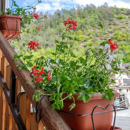 Le Nid Cir N. 132 Apartman *